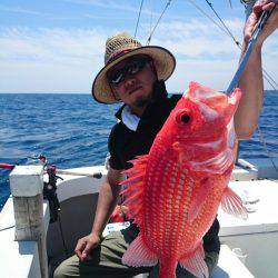 エンペラー 釣果