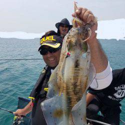 ソルトウォーターガイドフレンズ 釣果