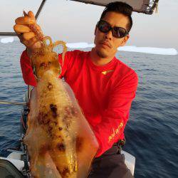 ソルトウォーターガイドフレンズ 釣果