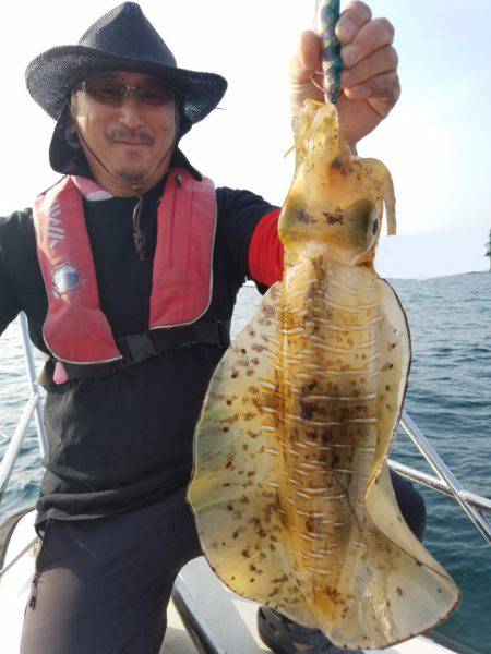 ソルトウォーターガイドフレンズ 釣果