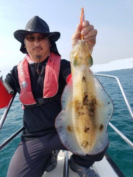 ソルトウォーターガイドフレンズ 釣果