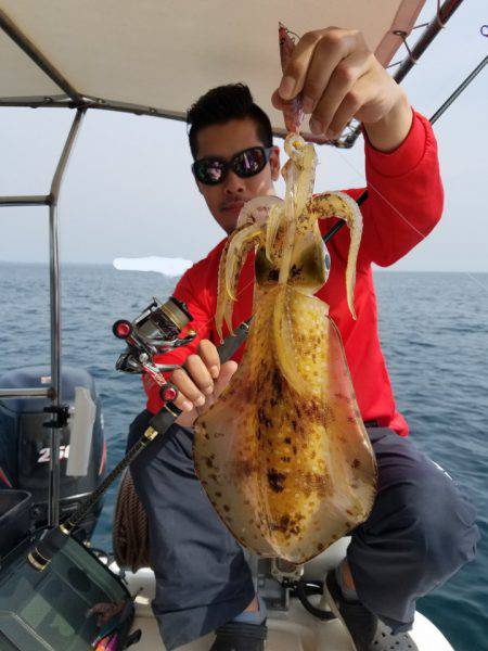 ソルトウォーターガイドフレンズ 釣果