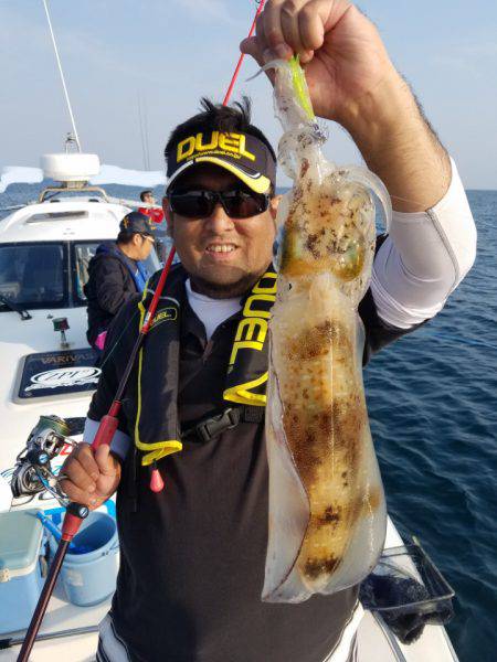 ソルトウォーターガイドフレンズ 釣果