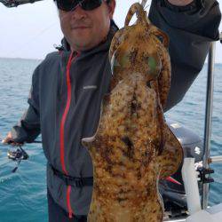 ソルトウォーターガイドフレンズ 釣果