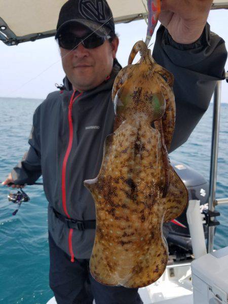 ソルトウォーターガイドフレンズ 釣果