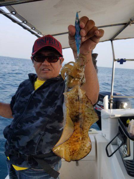 ソルトウォーターガイドフレンズ 釣果