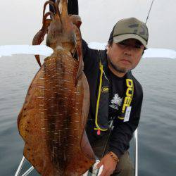 ソルトウォーターガイドフレンズ 釣果