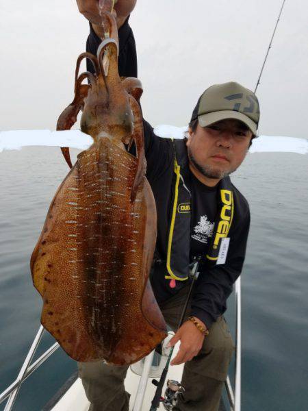 ソルトウォーターガイドフレンズ 釣果