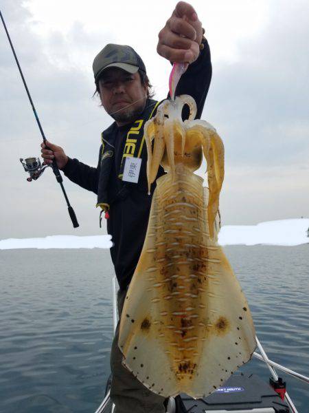 ソルトウォーターガイドフレンズ 釣果
