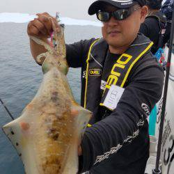 ソルトウォーターガイドフレンズ 釣果