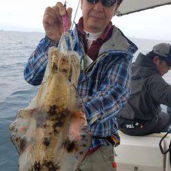 ソルトウォーターガイドフレンズ 釣果