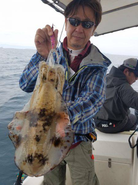 ソルトウォーターガイドフレンズ 釣果