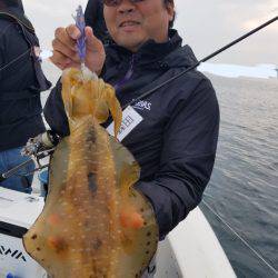 ソルトウォーターガイドフレンズ 釣果