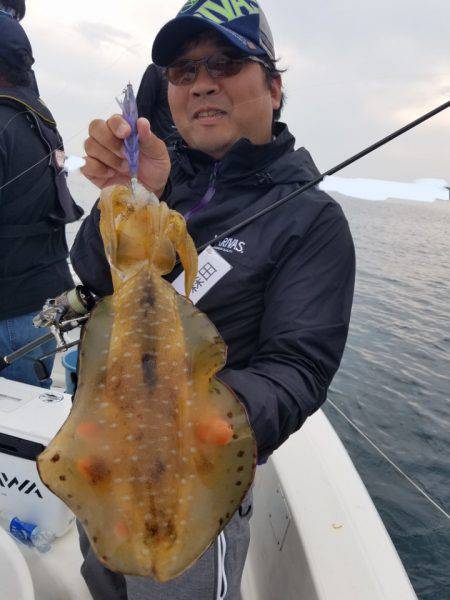 ソルトウォーターガイドフレンズ 釣果