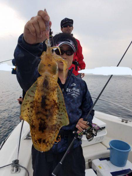 ソルトウォーターガイドフレンズ 釣果