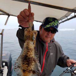 ソルトウォーターガイドフレンズ 釣果