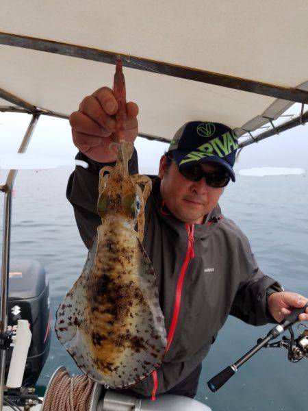 ソルトウォーターガイドフレンズ 釣果