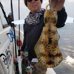 ソルトウォーターガイドフレンズ 釣果