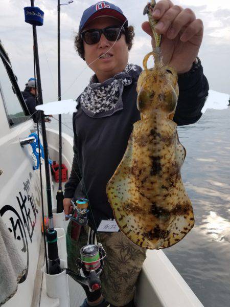 ソルトウォーターガイドフレンズ 釣果