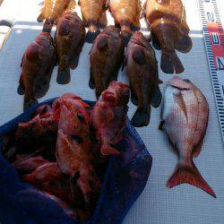 遊漁船 家入 釣果