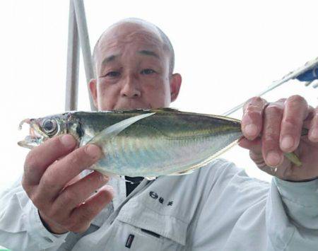 小島丸 釣果
