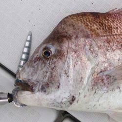 遊漁船 家入 釣果