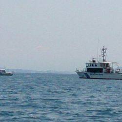 遊漁船 家入 釣果