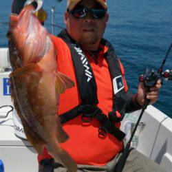 遊漁船 家入 釣果