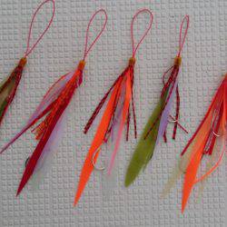 遊漁船 家入 釣果