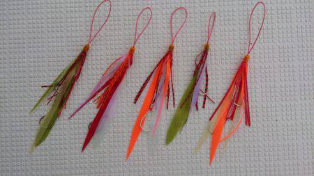 遊漁船 家入 釣果