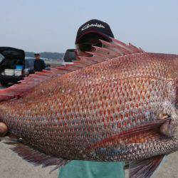 第三共栄丸 釣果