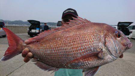 第三共栄丸 釣果