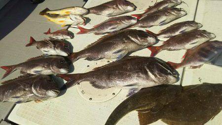 タイラバ遊漁船 ワンピース 釣果