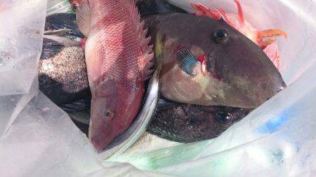 海龍丸（石川） 釣果