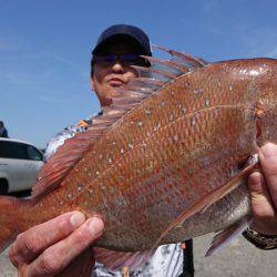 第三共栄丸 釣果