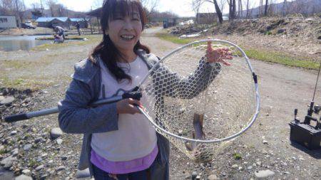 つりぼりあかし 釣果