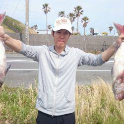 だて丸 釣果