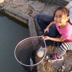 つりぼりあかし 釣果