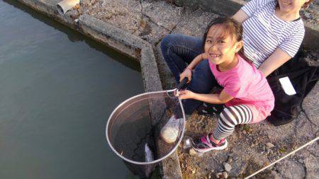 つりぼりあかし 釣果