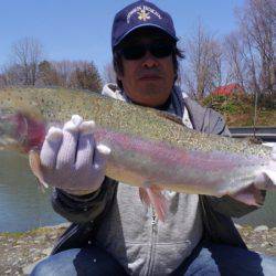 つりぼりあかし 釣果