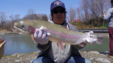 つりぼりあかし 釣果
