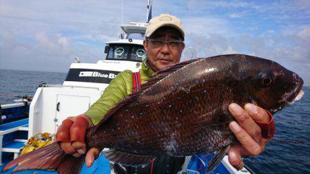 第三共栄丸 釣果