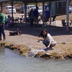 つりぼりあかし 釣果