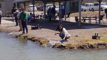 つりぼりあかし 釣果