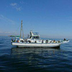 金沢八景鴨下丸 釣果