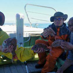 小島丸 釣果