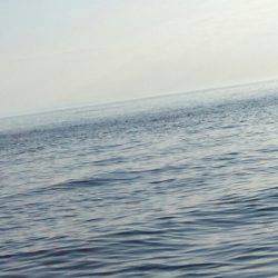 あみや渡船 JIGBOY 釣果