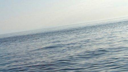 あみや渡船 JIGBOY 釣果