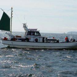 金沢八景鴨下丸 釣果