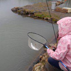 つりぼりあかし 釣果